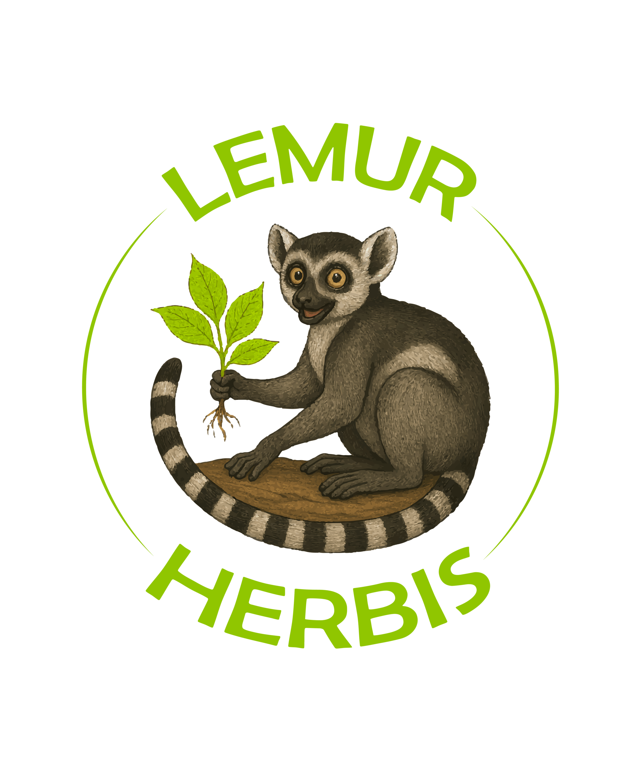 Lemur Herbis
